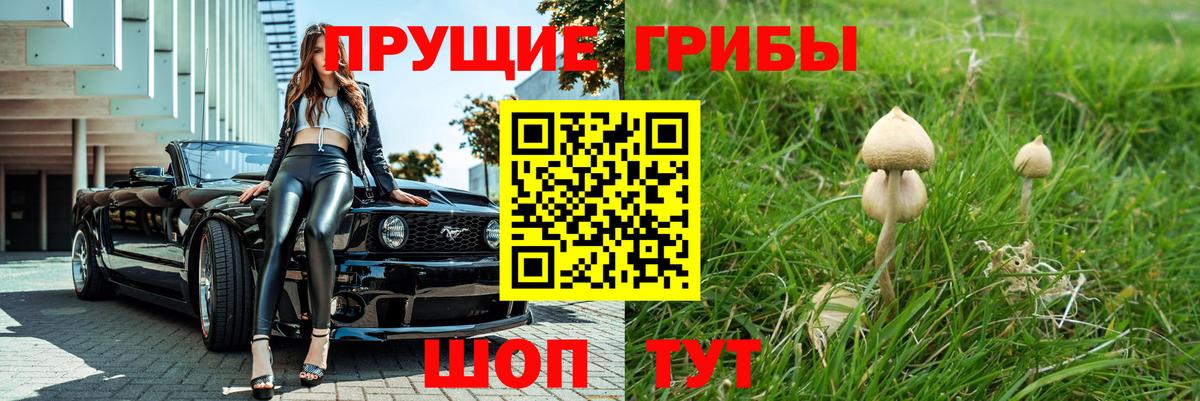 Галлюциногенные грибы мицелий  Галлюциногенные грибы прущие грибы  Вход с VPN  дарнет шоп  Мценск 